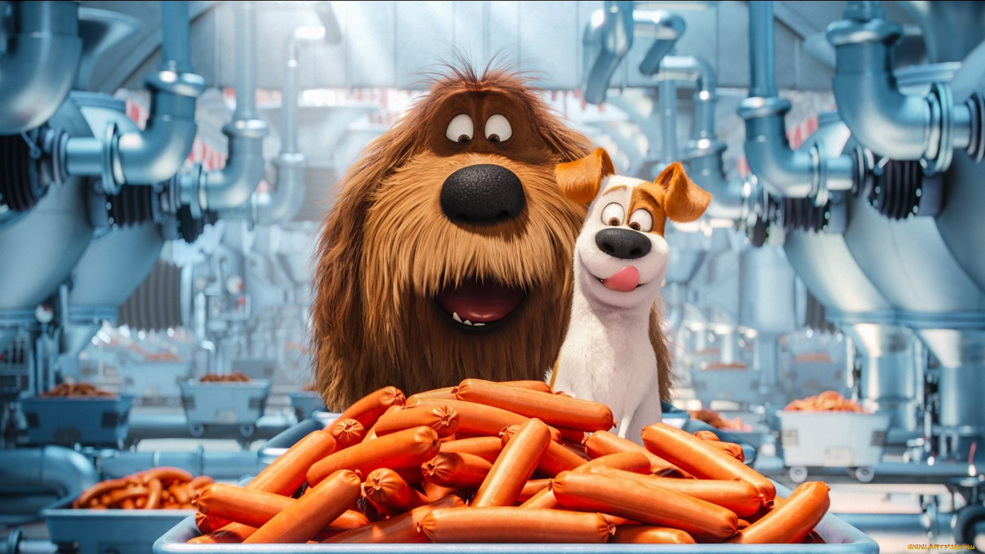 , the secret life of pets, sausage, party, dog, manufactures, pet, graphic, animation, the, secret, life, of, pets, comedy, duke, cartoon